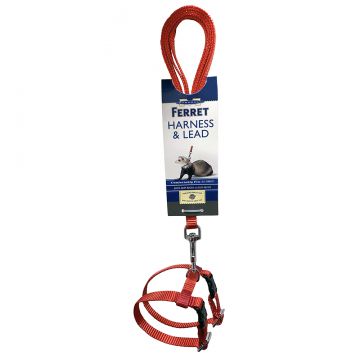 Harness & Lead Set - Red